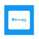 Biz Analyst